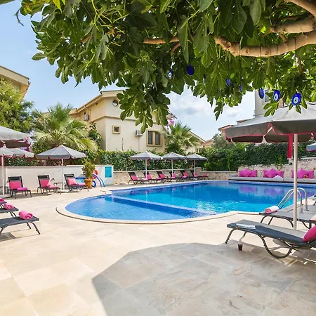 302 Kalkan